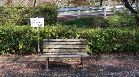 20190413151113_IMG_1900