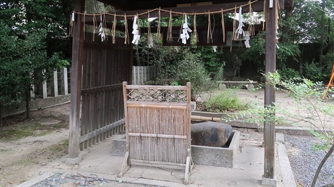 20220813090140_IMG_5767