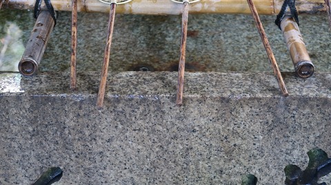 20221030150804_IMG_6807