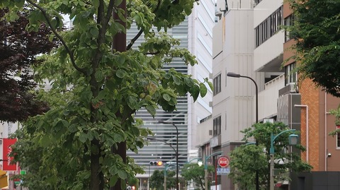 20230610175421_IMG_8526