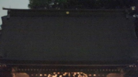 20220515195117_IMG_4347