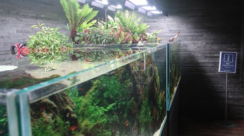 20220730183759_IMG_5306