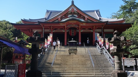 20230811150058_IMG_8981