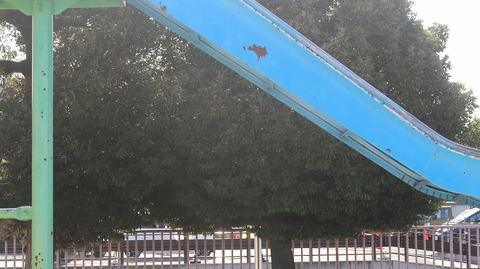 20231007140233_IMG_9661