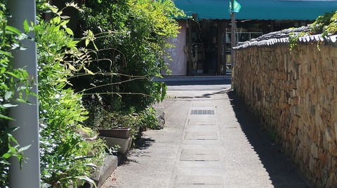 20220702152544_IMG_4866