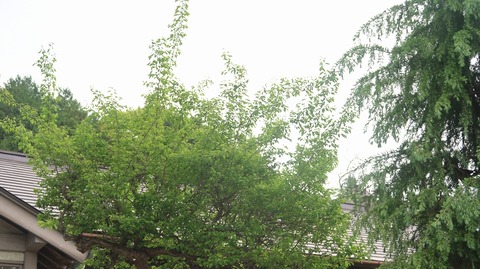 20220507122347_IMG_4137