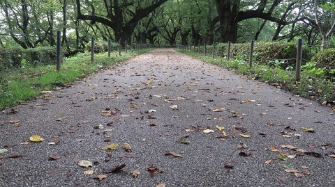 20200801164429_IMG_6928