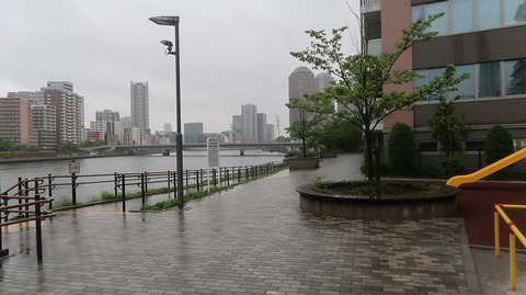 20230415165056_IMG_7948