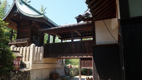 20220701141818_IMG_4730