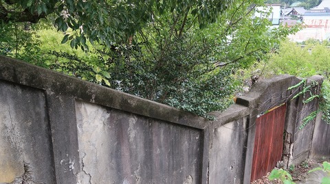 20220923153437_IMG_6471