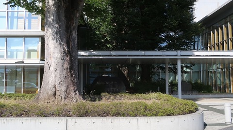 20231007141543_IMG_9677