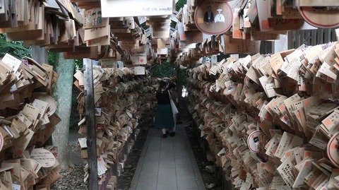 20190710142932_IMG_2780