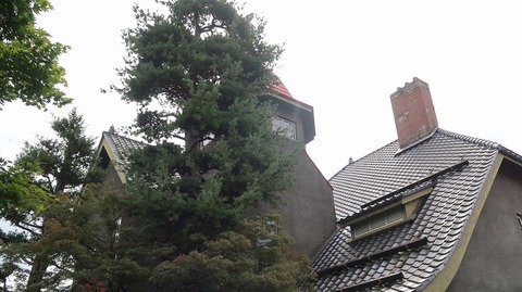 20200920103422_IMG_7937