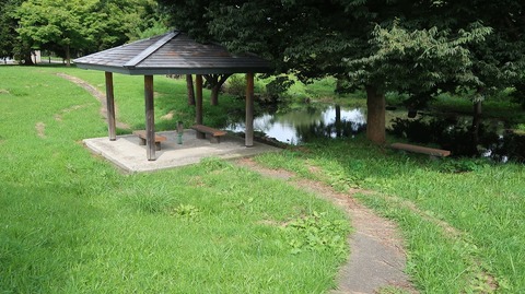 20200920111835_IMG_7941