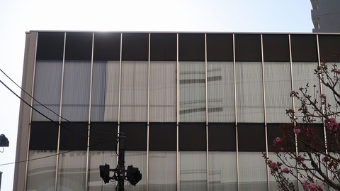 20220409163529_IMG_3338