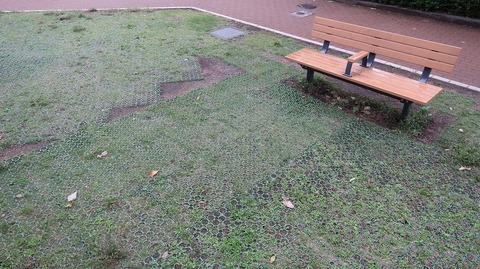 20230513172642_IMG_8301