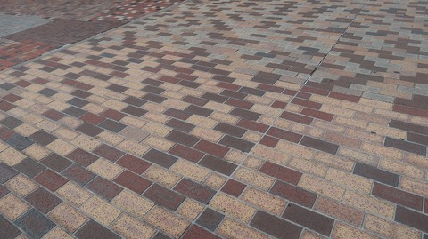 20220911132618_IMG_6167