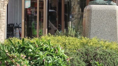 20220409164504_IMG_3353