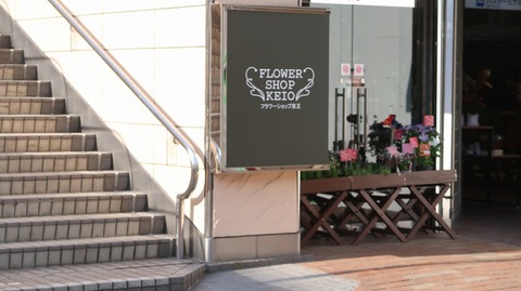 20220409163652_IMG_3341