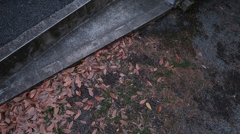 20221127164332_IMG_7124