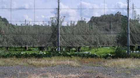 20200920132944_IMG_8042