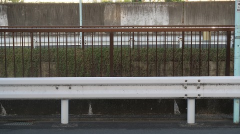 20230811174837_IMG_9077