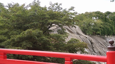 20200919163953_IMG_7880