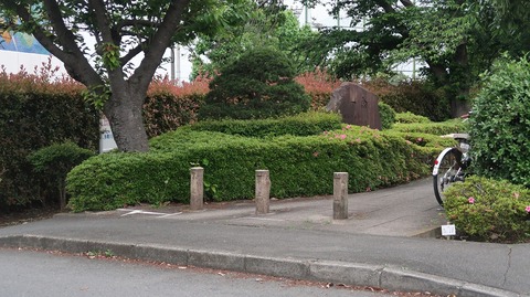 20220515181501_IMG_4300