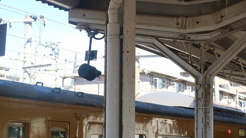 20230814152520_IMG_9104