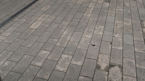 20220911142321_IMG_6182