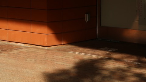 20230527162454_IMG_8376