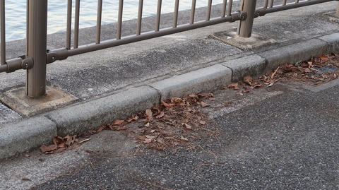 20210206171046_IMG_0273