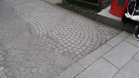 20221217120729_IMG_7385