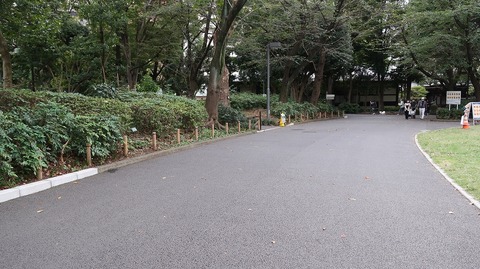 20221016160548_IMG_6625