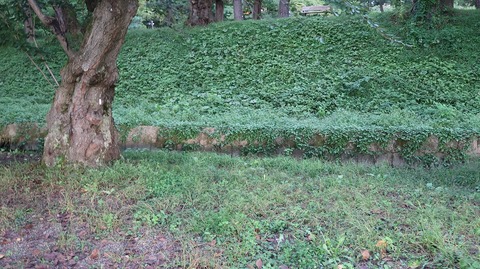 20200919170253_IMG_7892