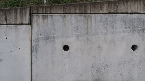 20220410171349_IMG_3410