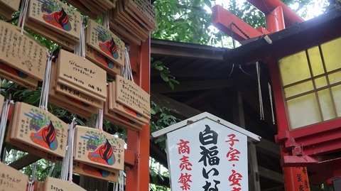 20200808101740_IMG_7064