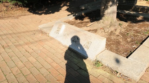 20190413153948_IMG_1912