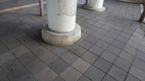 20220827164427_IMG_5898