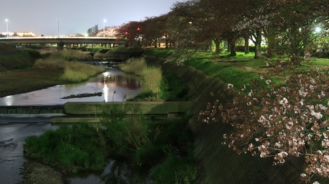 20220410194118_IMG_3470