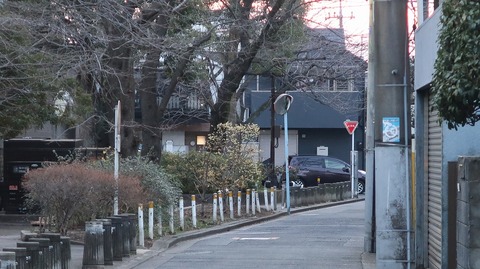 20210211174125_IMG_0359