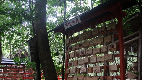 20200808102444_IMG_7071