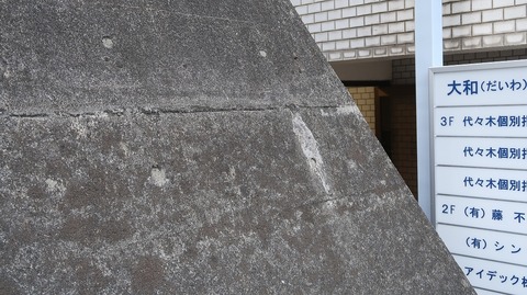 20220410174735_IMG_3453