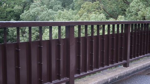 20200726185549_IMG_6831