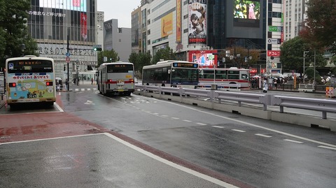 20231112094835_IMG_0413