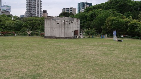 20220508174054_IMG_4196