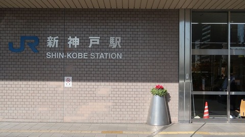 20221209114553_IMG_7244