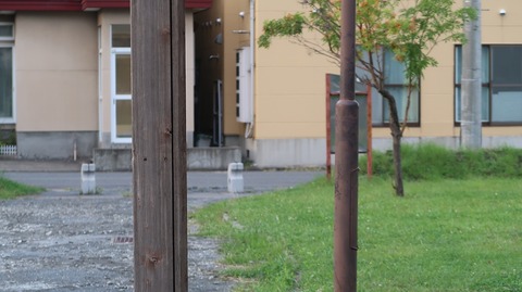 20200921165334_IMG_8198