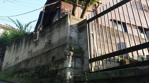 20220528173338_IMG_4421