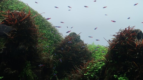 20220730181214_IMG_5302